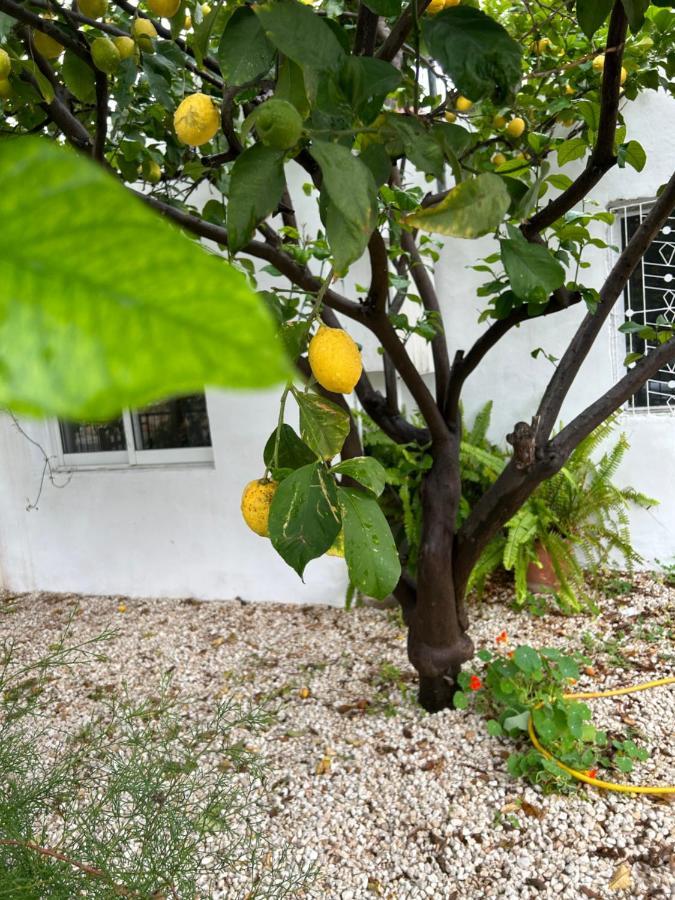 Hébergement de vacances Avra House Limassol